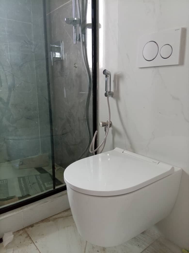 Wall-hung WC beside a glass shower enclosure with bidet spray